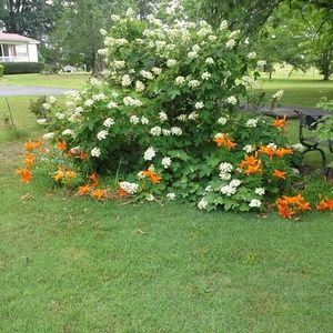 Meet your Posher, Faye